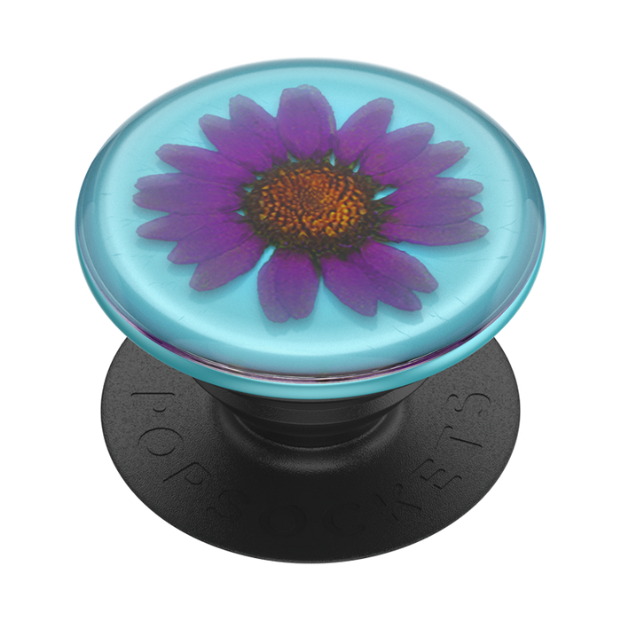 Purple Daisy Pressed Flower PopGrip, PopSockets