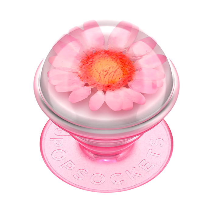 Pink Daisy Globe PopGrip, PopSockets